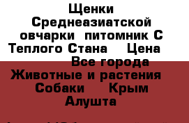 Щенки Среднеазиатской овчарки (питомник С Теплого Стана) › Цена ­ 20 000 - Все города Животные и растения » Собаки   . Крым,Алушта